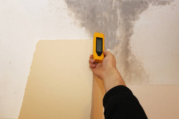 Best Dehumidification Services  in Richwood, NJ