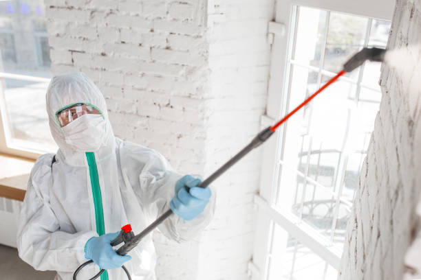 Best Forensic Mold Investigation  in Richwood, NJ