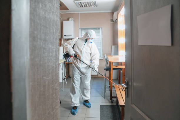 Best Emergency Mold Remediation  in Richwood, NJ