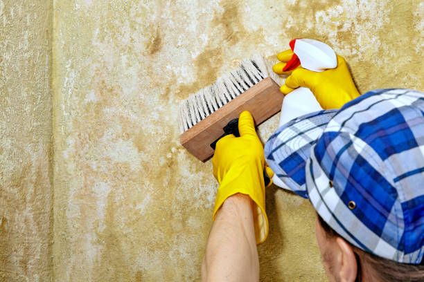 Best Residential Mold Inspection & Testing  in Richwood, NJ