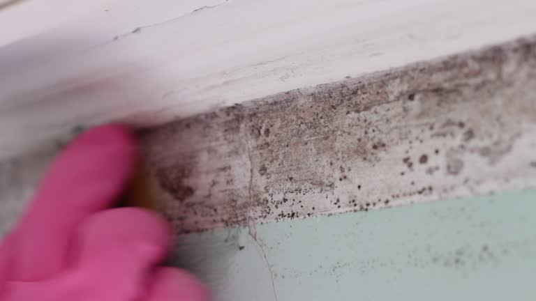Best Asbestos and Lead Testing During Mold Inspection  in Richwood, NJ